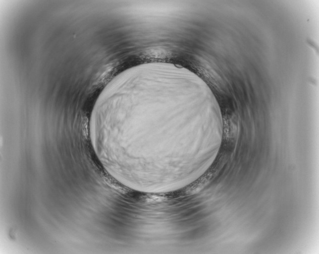 X0000093220718200710241216