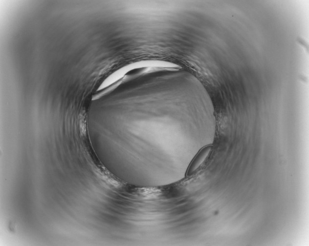 X0000093220719200710241216