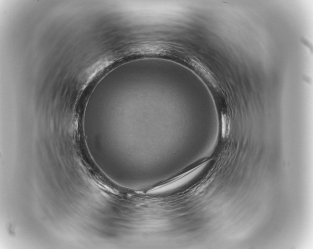 X0000093220723200710241216