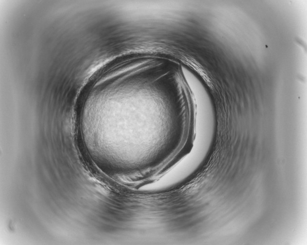 X0000093220724200710241216