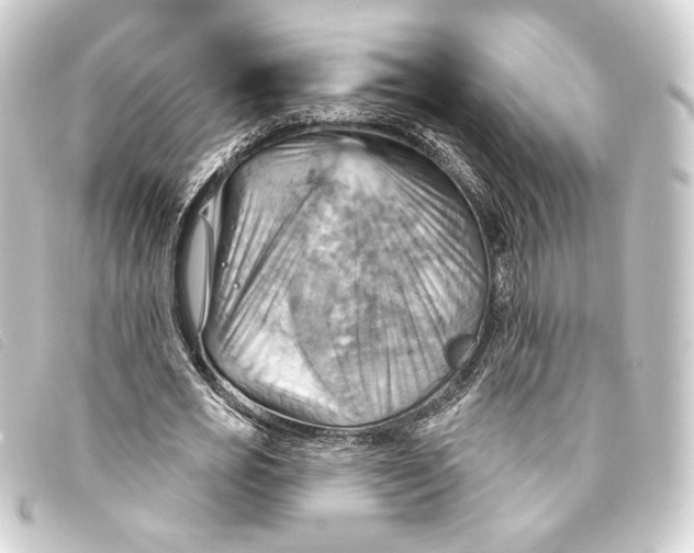 X0000093220725200710241216