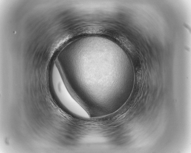 X0000093220727200710241216