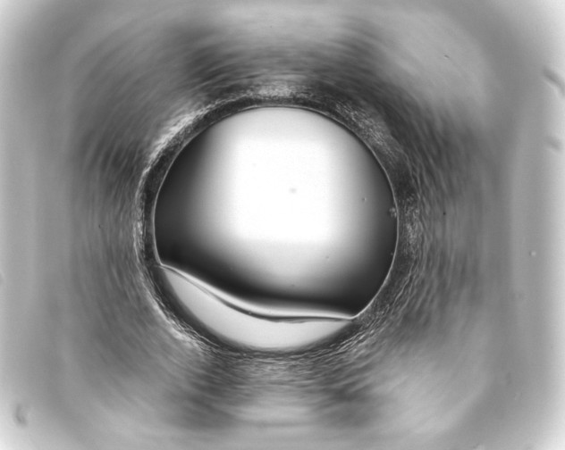 X0000093220728200710241216