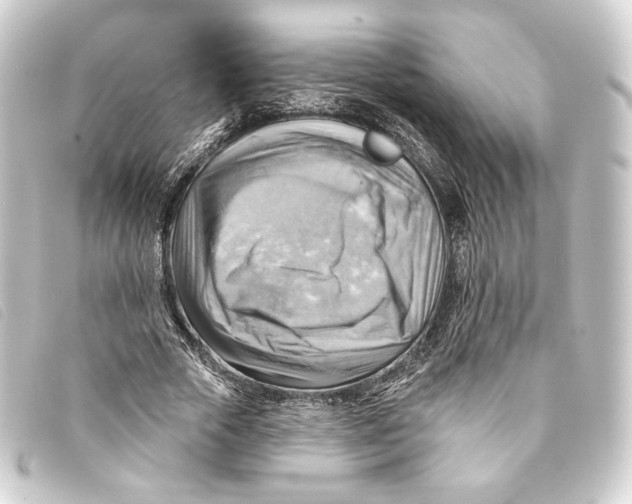 X0000093220729200710241216