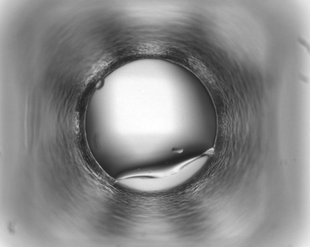 X0000093220731200710241216