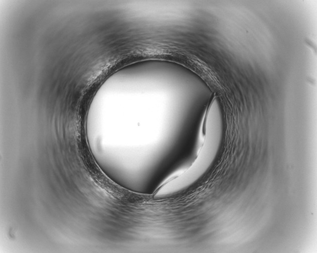 X0000093220732200710241216