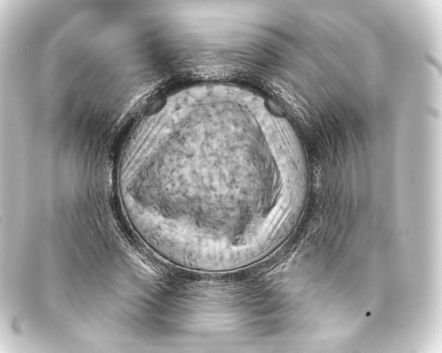 X0000093220733200710241216