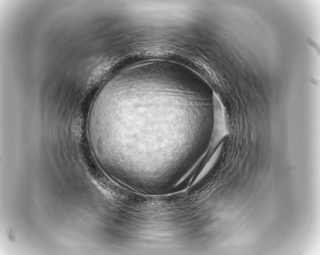 X0000093220736200710241216