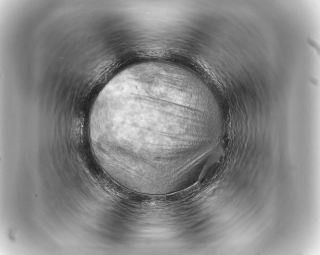 X0000093220739200710241216