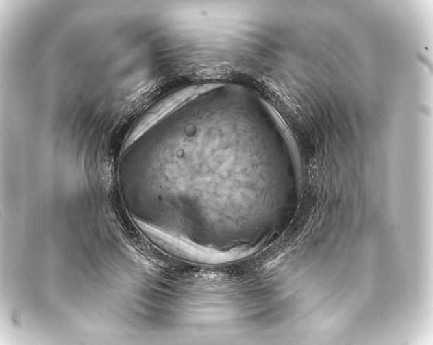 X0000093220741200710241216