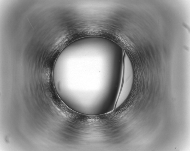 X0000093220744200710241216