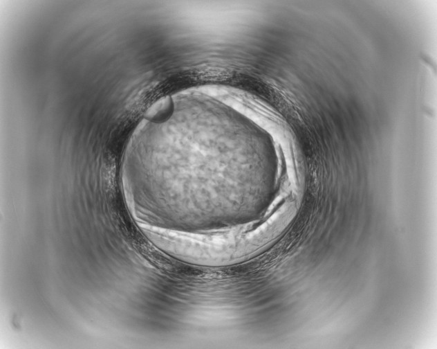 X0000093220745200710241216