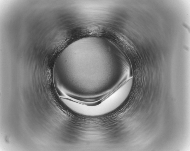 X0000093220748200710241216