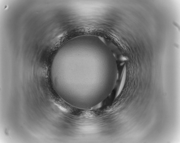 X0000093220750200710241216