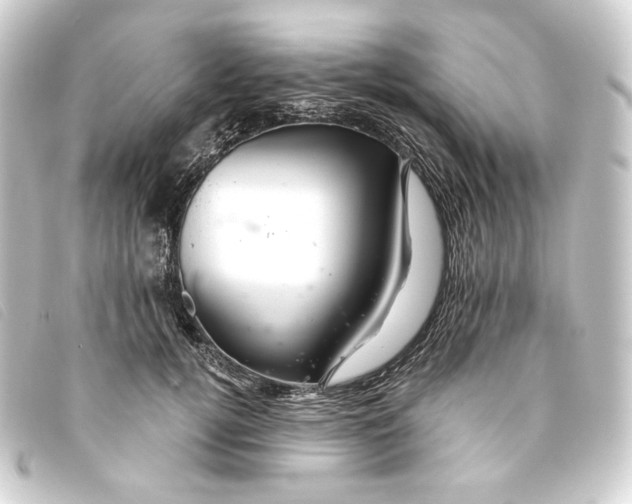 X0000093220752200710241216