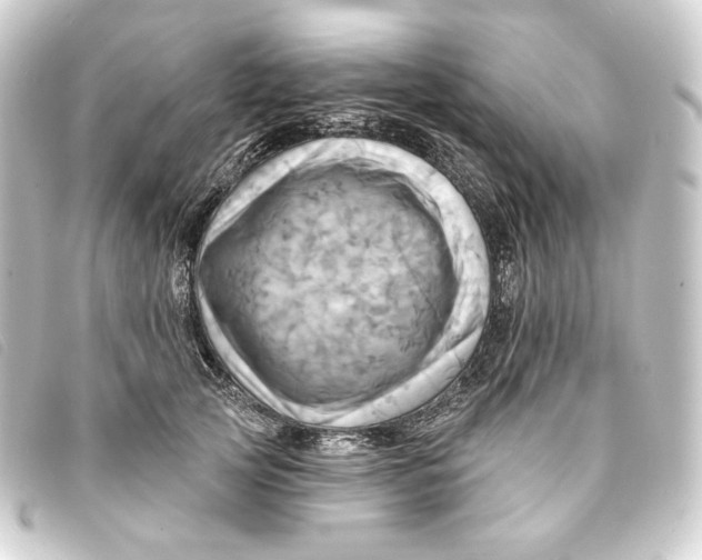 X0000093220753200710241216