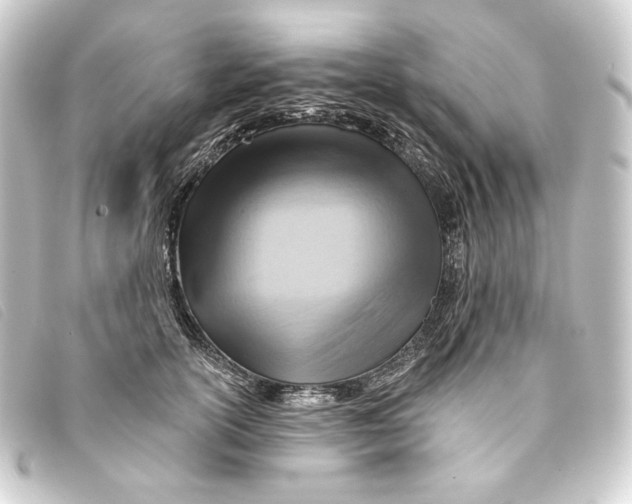 X0000093220754200710241216