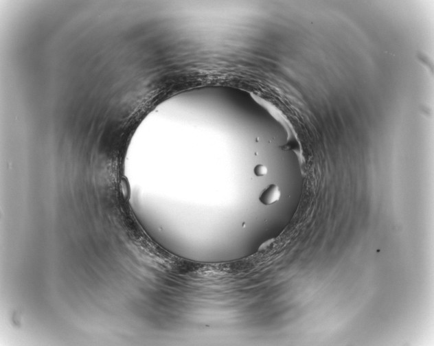 X0000093220756200710241216