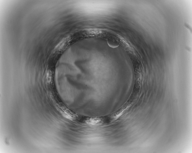 X0000093220758200710241216