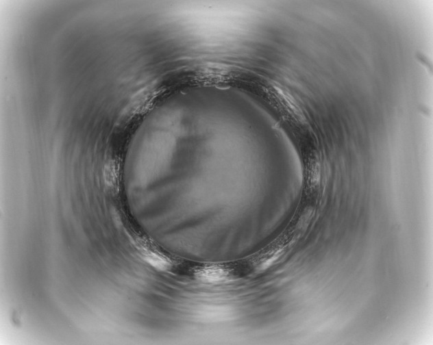 X0000093220759200710241216