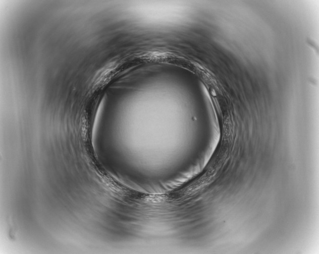 X0000093220762200710241216