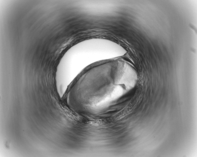 X0000093220763200710241216