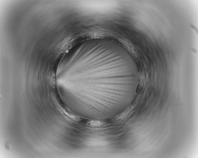 X0000093220766200710241216