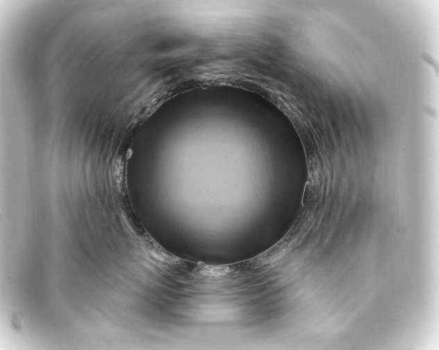 X0000093220767200710241216