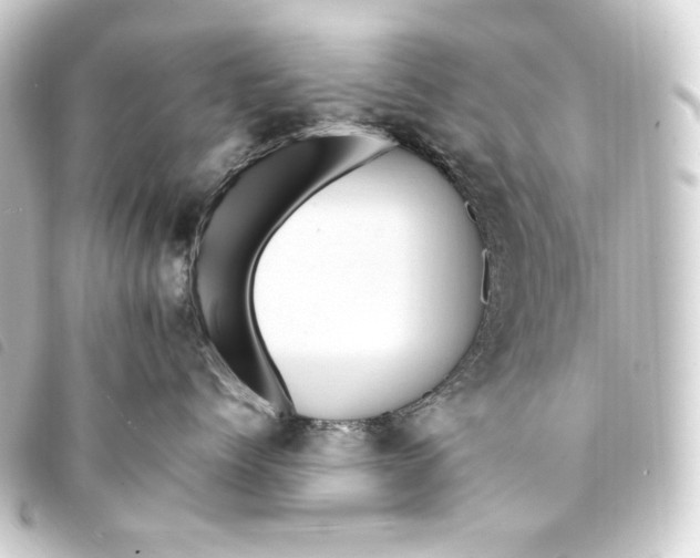 X0000093220768200710241216