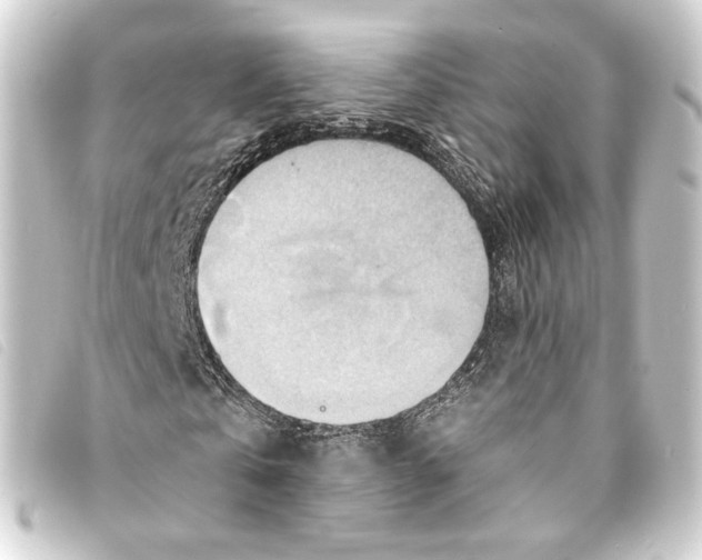 X0000093220769200710241216