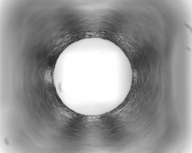 X0000093220770200710241216