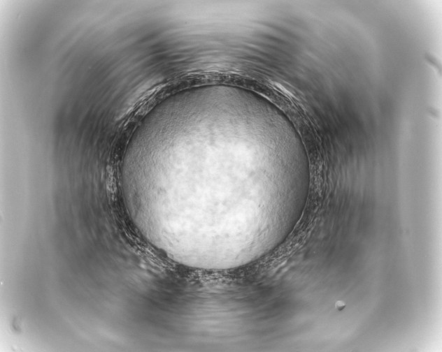 X0000093220774200710241216