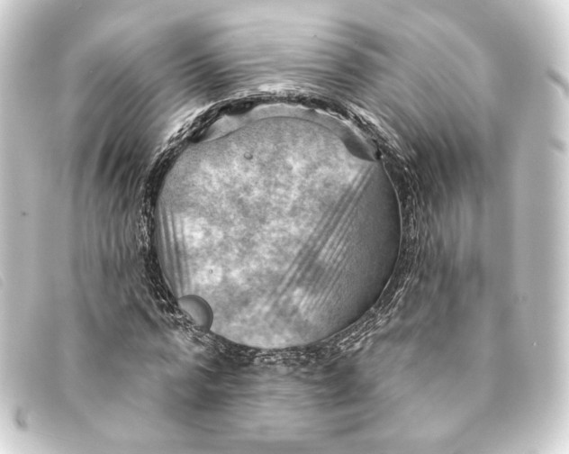 X0000093220776200710241216