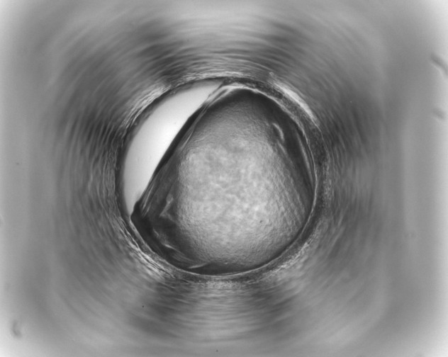 X0000093220777200710241216