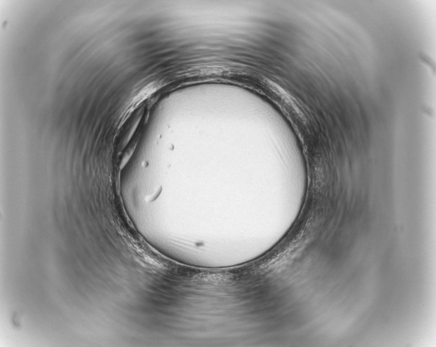 X0000093220778200710241216