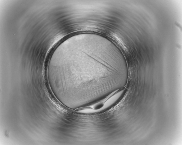 X0000093220780200710241216