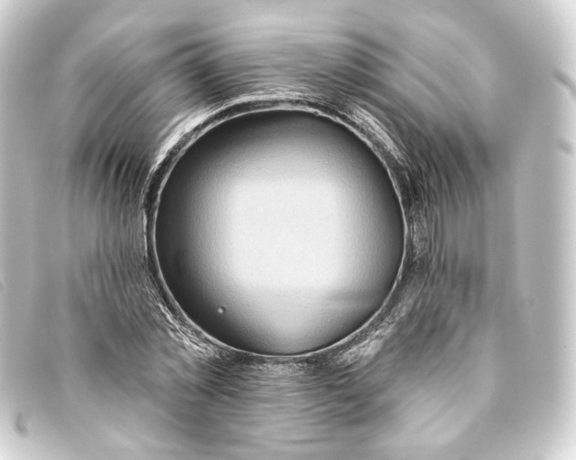 X0000093220781200710241216