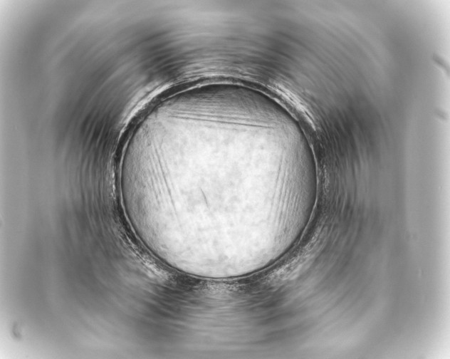 X0000093220782200710241216