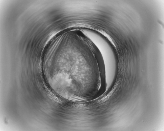 X0000093220783200710241216