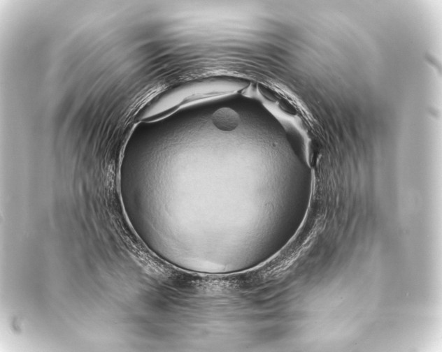 X0000093220785200710241216