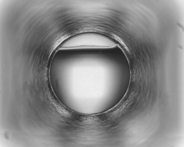 X0000093220786200710241216