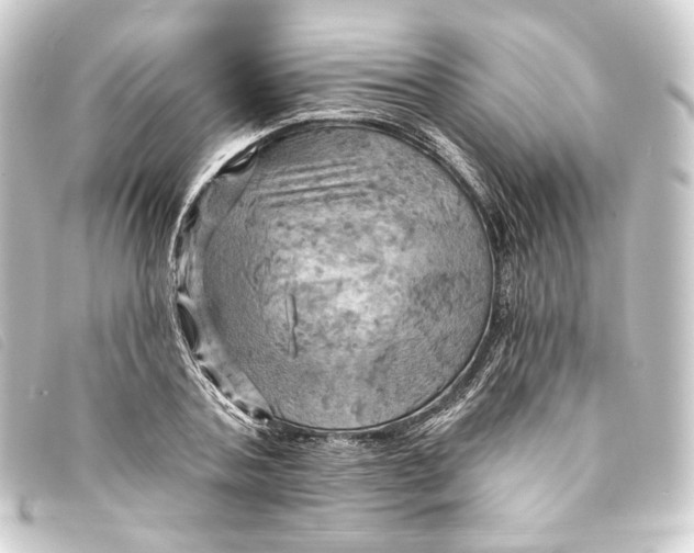 X0000093220787200710241216