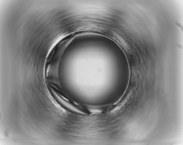 X0000093220788200710241216