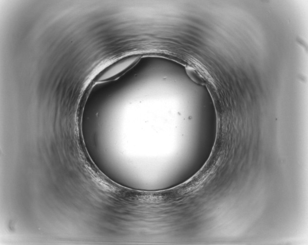 X0000093220789200710241216