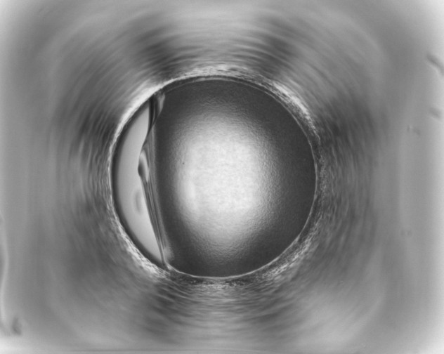 X0000093220792200710241215