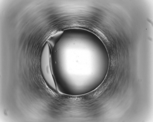 X0000093220793200710241215