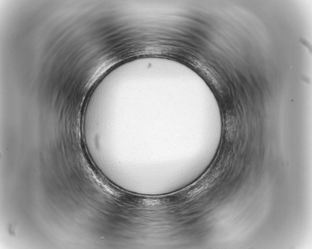 X0000093220794200710241215