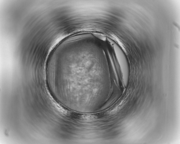 X0000093220795200710241215