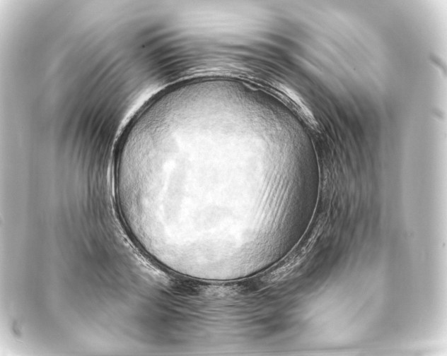 X0000093220796200710241215