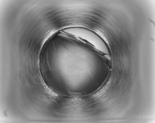 X0000093220797200710241215